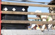 Более тысячи человек в США отравились из-за утечки химикатов
