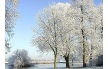 На завтра синоптики прогнозируют в Украине мокрый снег и дождь