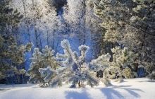 Морози в Україні посиляться до 20 градусів