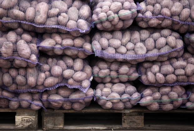В Беларуси запретили импорт европейского картофеля