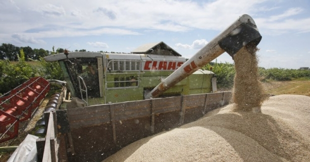 На прошлой неделе Украина экспортировала рекордное количество зерновых 
