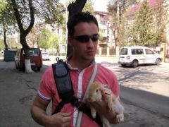 Обновленный список погибших во время кровавых событий в Киеве  Обновленный список погибших во время кровавых событий в Киеве