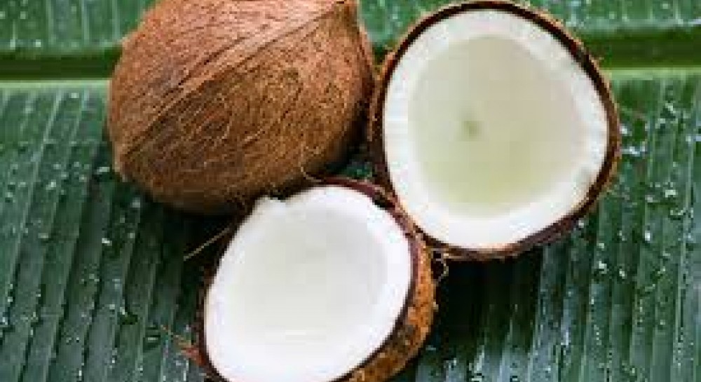 Масло кокоса рафинированное. Кокосовый орех. Растительные масла кокос. Тип кокосового масла. Hindistan cevizi yaği кокосовое масло.