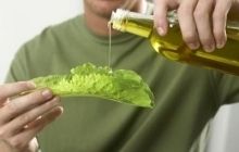Чем полезно конопляное масло