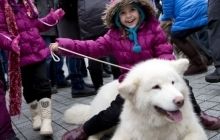 Детям просто необходимо иметь домашнее животное