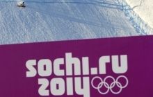 В московских аэропортах из-за Олимпиады усилен санитарно-карантинный контроль