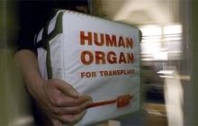 Католики в Беларуси завещают свои органы после смерти для трансплантации