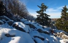 Завтра в Україні температура підніметься до +17°, на річках почне танути лід