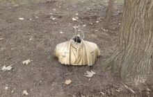 В Черкасской области не осталось ни одного райцентра с памятником Ленину - «Свобода»