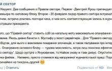"Правый сектор" признал своей целью "максимальное овладение силовым блоком"