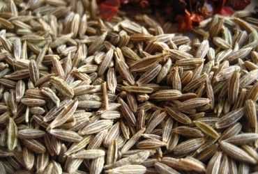 Специя зира – сильный стимулятор желудочной секреции