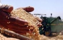 Аграрії можуть не засіяти 20% сільгоспземель через ситуацію у країні - УКАБ