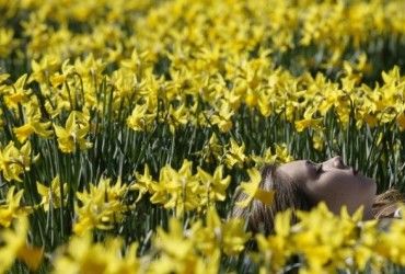 Сегодня температура в Украине поднимется до +24°: где будет теплее всего (карта)