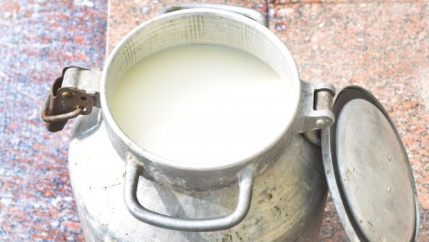 Дороговизна производства вынуждает фермеров отказаться от работы в молочной отрасли / Фото УНИАН
