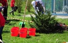 13 квітня кияни висадять на території медзакладу ялинки у рамках проекту “Збережи життя ялинці – подаруй дітям парк”