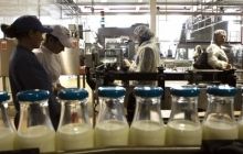 Dairy war: Moldova mulling import duties, Ukraine promises retaliation