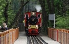 Киевская детская железная дорога перевезла более 13 тысяч пассажиров