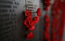 Цьогоріч в Україні вперше в День Перемоги використають європейський символ - червоний мак