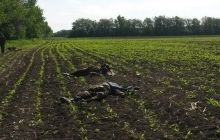 На Волыни объявлен двухдневный траур по погибшим под Волновахой