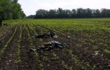 Расправа под Волновахой: бей слабых