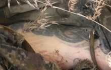 У день президентських виборів українські силовики затримали 13 террористів на Луганщині
