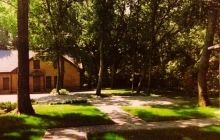 Коломойський відправляє чиновників в Китай вивчати досвід страти корупціонерів