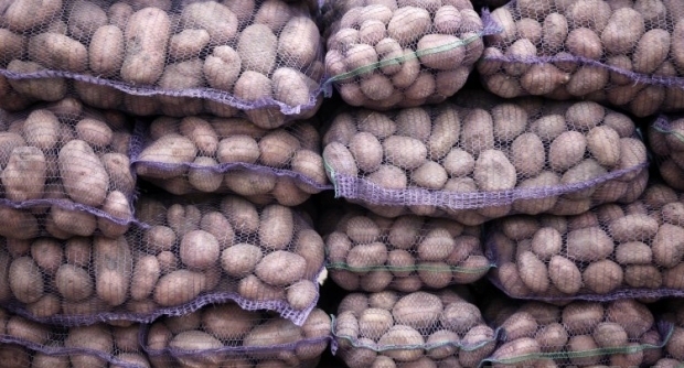 Ціна картоплі на ринках Україні / фото з соцмереж