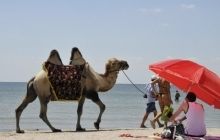 Вместо Крыма: где ждут туристов