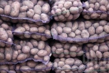 В Украине выросли цены на картофель