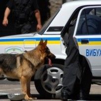 В Киеве задержали 