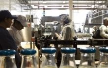 Инспекторы ЕС приедут проверять украинские молочные предприятия