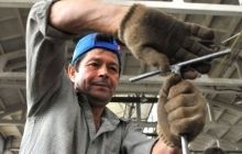 Житомирский бронетанковый завод за время АТО отремонтировал 400 единиц бронетехники