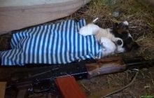 “А кто, кроме нас?” (продолжение)