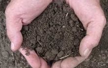 Земельные участки получили 13% участников АТО