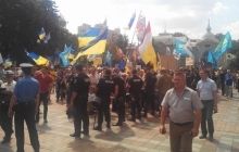 За мелкое хулиганство возле ВР задержан один из участников акции протеста