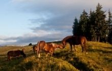 Лето продолжается: завтра в Украине потеплеет до +28
