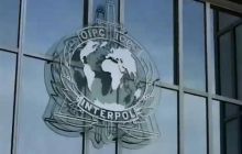 Интерпол объяснил причину отказа разыскивать Януковича в марте 2014 года