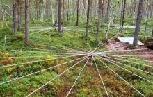В лесах Норвегии появилась стальная паутина