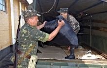 Из Харькова в зону АТО доставлено свыше 15 тыс. тонн тылового имущества
