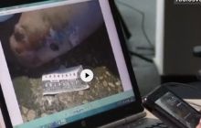 Медик "Айдара": наших парней обливают бензином и поджигают