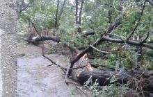 У Маріуполі повністю відновлено електропостачання міста