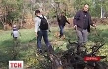 В Мариуполе поваленные ураганом деревья разобрали на дрова для военных