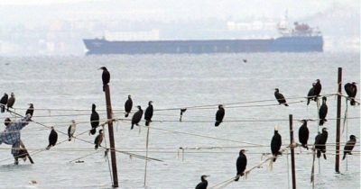 Фото УНИАН Фото УНИАН