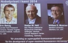 Названо лауреатів Нобелівської премії з хімії 2014 року