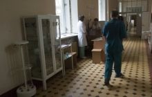 В Житомирской области 50-летний мужчина умер от укусов ос