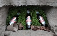 В Украине появилось первое ЭКО пиво