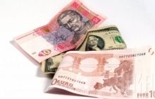 Pynzenyk: Hryvnia exchange rate dictated by speculators, not by NBU