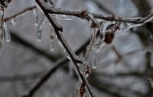В Венгрии обесточены 40 тысяч домов и перекрыты дороги из-за ледяного дождя