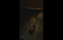 В РФ завели дело на машиниста, наехавшего на медведя с криками "Дави!"