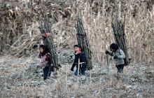 КНДР тайно взяла курс на экономические реформы - СМИ